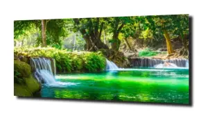 obraz na szkle Zioła Przyprawy 