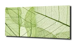 obraz na szkle Struktura liści 