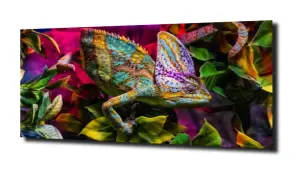 obraz na szkle Zioła Przyprawy 