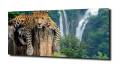 3d732316c13538bbd27306ea6cdcd268