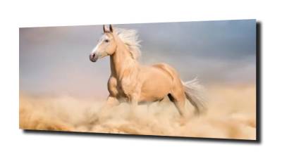 obraz na szkle Jasny koń galop 
