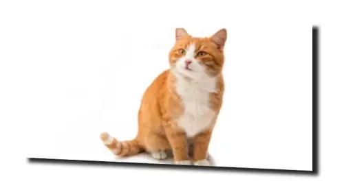 609a6e0386e886658df0bc46247658df