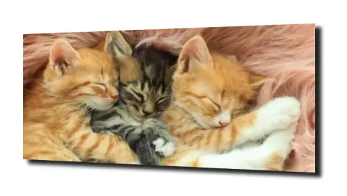 884656b921ad83d0c08c584fd8eaacf1