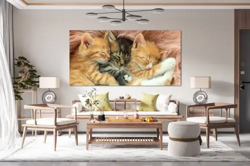 98a5ba52e5e6e970263edc9b5d3559bd