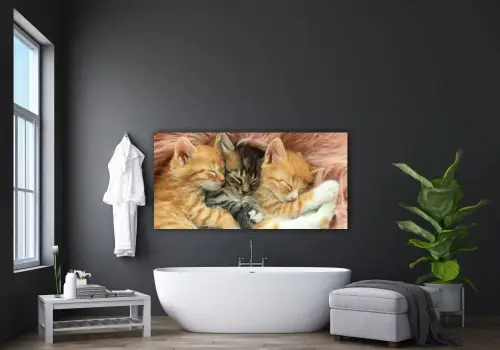 e3e2a7cbc9962c353a001fdb4baf46f2