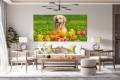 79b54399c54e80ac8b6f21c63b9e243b