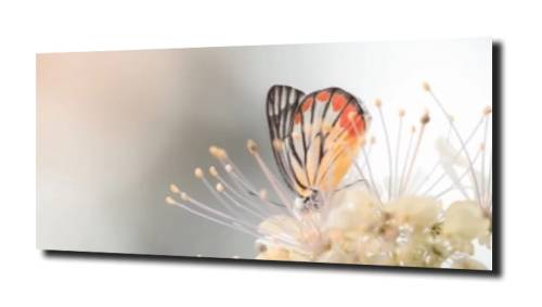 4688113126fc6197e683f14f68b7eca4