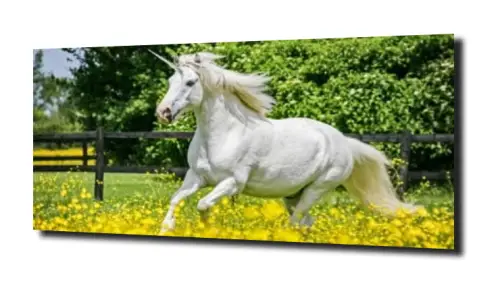 a46c94909c850dde7692a0fabd26cbea