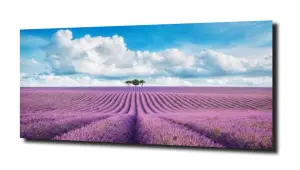 obraz na szkle Pole lawendowe 