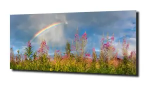 obraz na szkle Tęcza nad łąką 