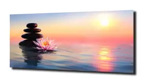 obraz na szkle Lilia wodna  9 