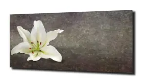 obraz na szkle Lilia wodna 10 