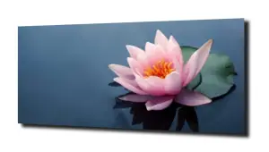 obraz na szkle Lilia wodna 12 