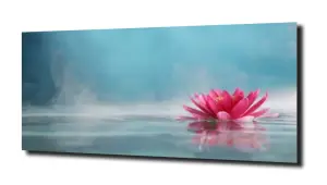 obraz na szkle Lilia wodna13  