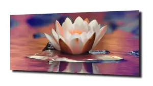 obraz na szkle Lilia wodna 14 