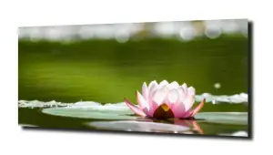 obraz na szkle Lilia wodna 15 