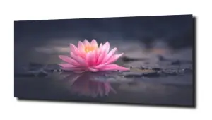 obraz na szkle Lilia wodna 16 