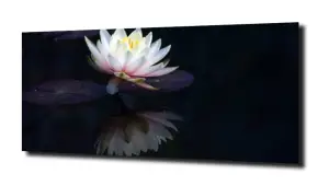 obraz na szkle Lilia wodna 17 