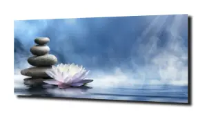 obraz na szkle Lilia wodna 19 