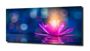 obraz na szkle Lilia wodna 22 