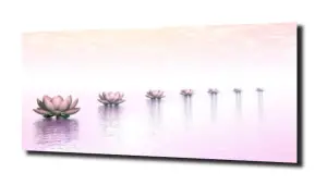 obraz na szkle Lilia wodna 24 