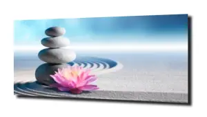 obraz na szkle Lilia wodna 25 