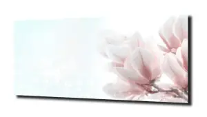 obraz na szkle Lilia wodna 26 