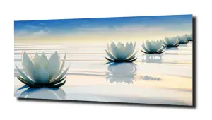 obraz na szkle Lilia wodna 28 