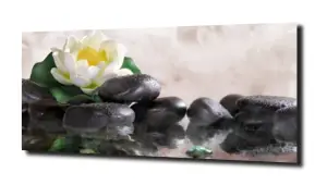 obraz na szkle Lilia wodna 30 