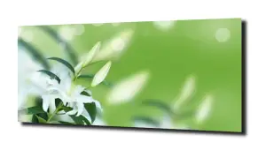 obraz na szkle Lilia wodna 35 