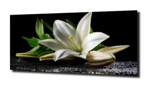 obraz na szkle Lilia wodna 38 