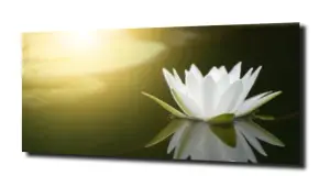 obraz na szkle Lilia wodna 39 