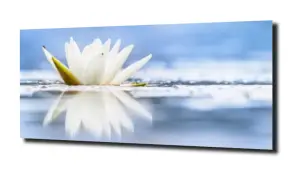 obraz na szkle Lilia wodna 40 