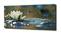 8e5641d78bf9c4310c11d6b2a913dc00