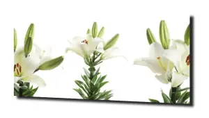 obraz na szkle Lilie wodne 46 
