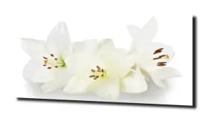 obraz na szkle Lilie wodne 47 