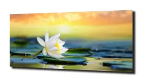 obraz na szkle Lilie wodne 48 