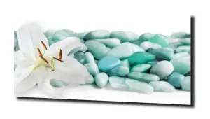 obraz na szkle Lilie wodne 51 