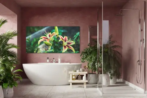 7e14116b6a4276cd39a978c43ae1ee5a