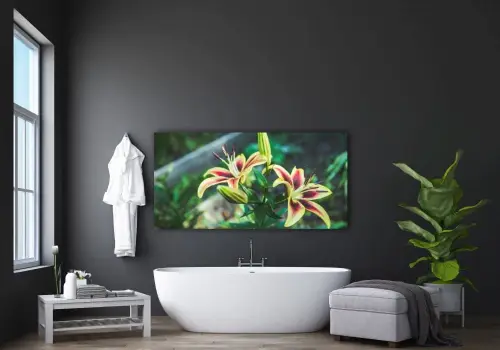 52d2c97ce2ebe69be3aad1f303eb77cd