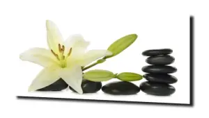 obraz na szkle Lilia wodna 57 