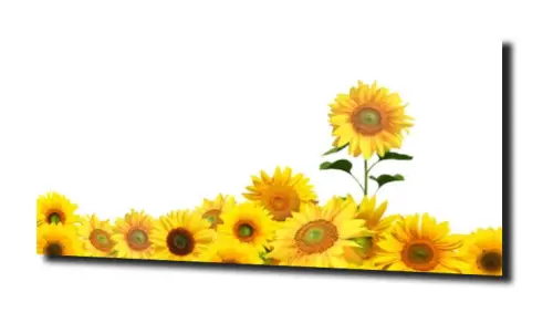 bdf774a1ca03e27449dd6f400591b354