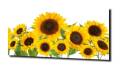 4f902b6f560c69d2e28d6a975e965de2