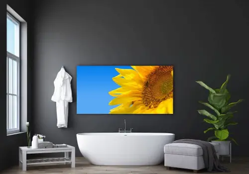 cc353b479a2d97059171ce533ef5c444