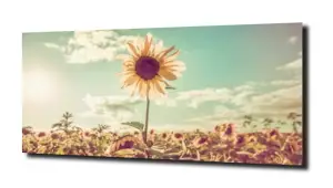 obraz na szkle Słoneczniki 78 