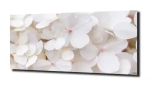 obraz na szkle Płatki kwiatów 