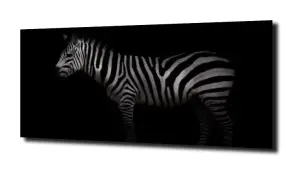 obraz na szkle Zebra w czerni 