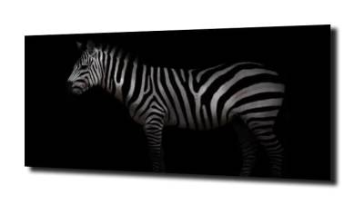 obraz na szkle Zebra w czerni 
