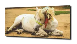 obraz na szkle Koń jednorożec 