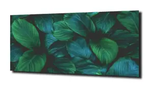 obraz panel szklany Liście 6 